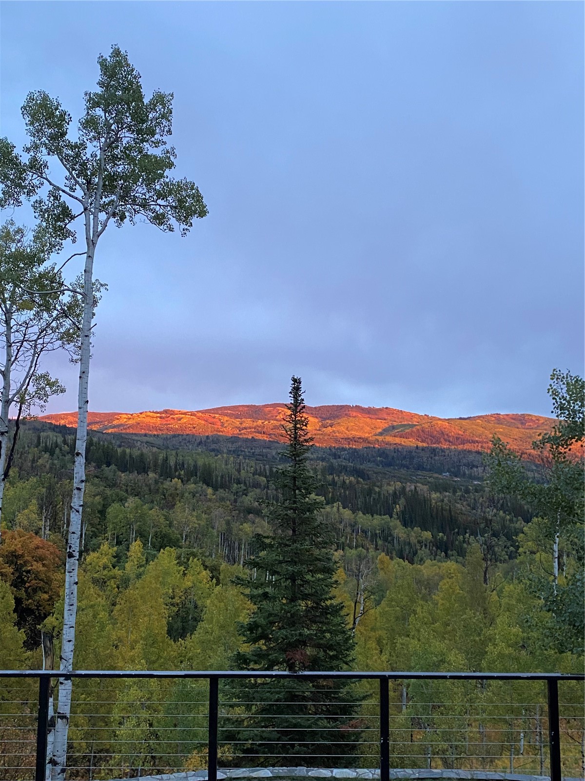 43370 County Road 36 Steamboat Springs CO 80487