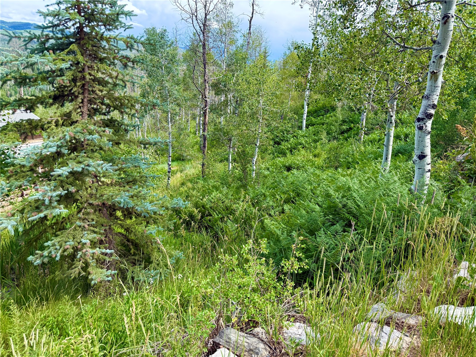 43370 County Road 36 Steamboat Springs CO 80487