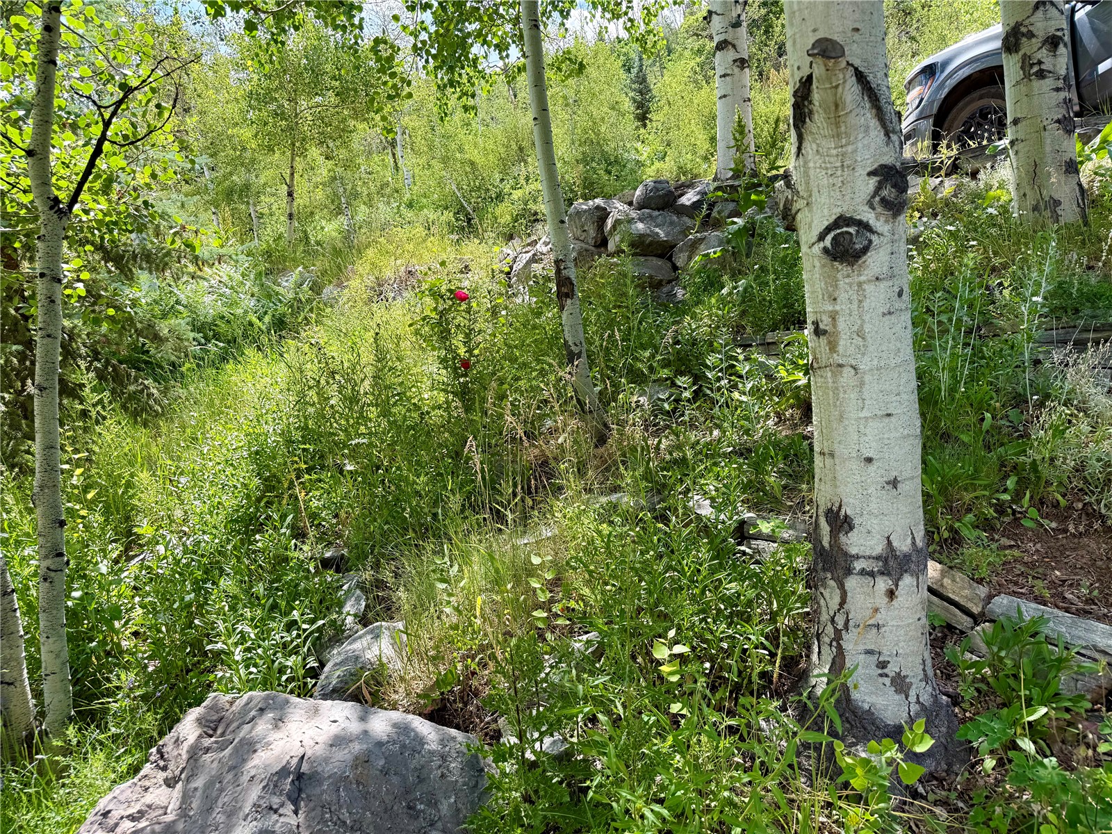 43370 County Road 36 Steamboat Springs CO 80487