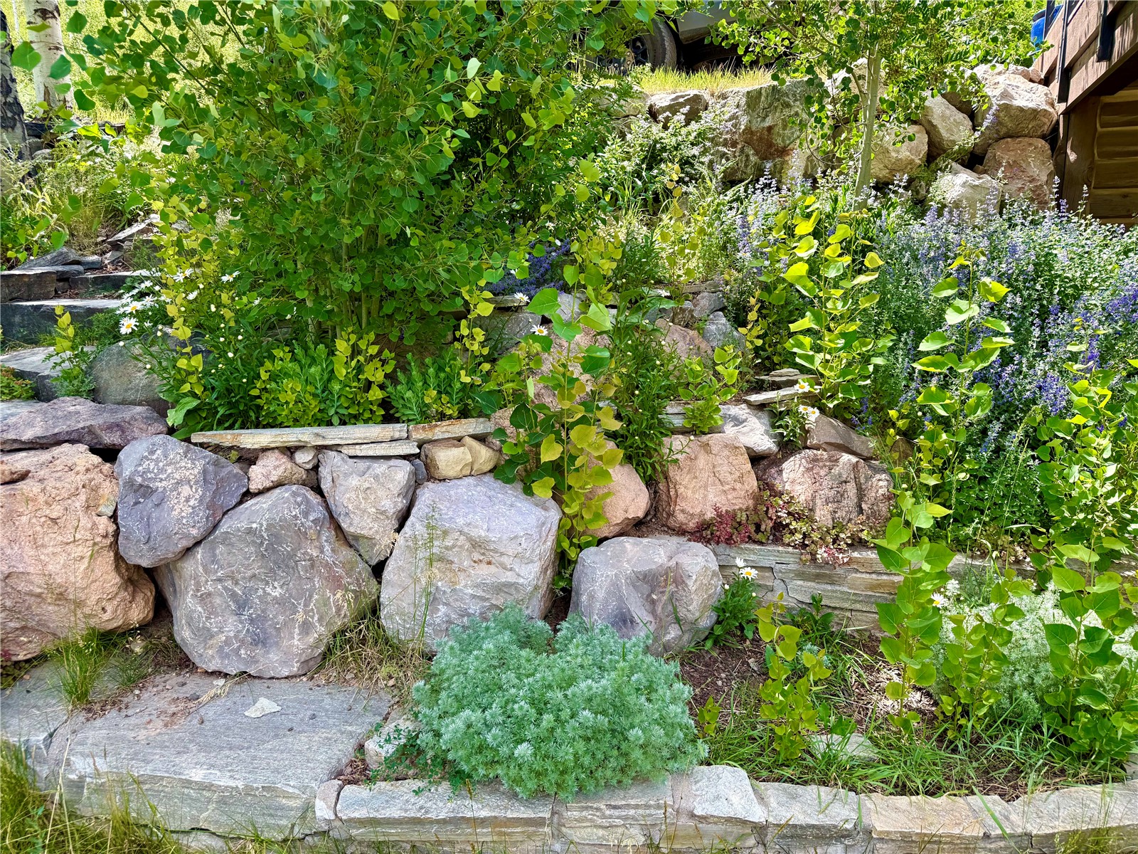 43370 County Road 36 Steamboat Springs CO 80487
