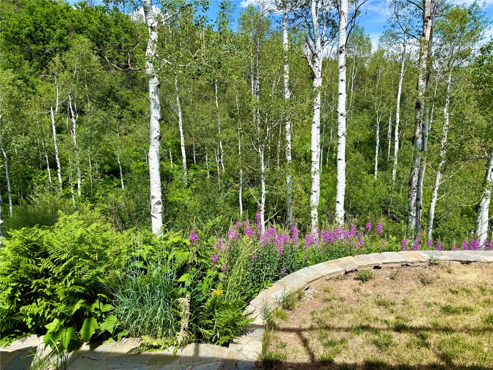 43370 County Road 36 Steamboat Springs CO 80487