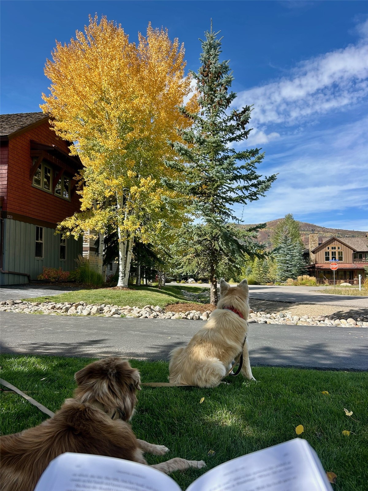 1315 Turning Leaf Court Steamboat Springs CO 80487