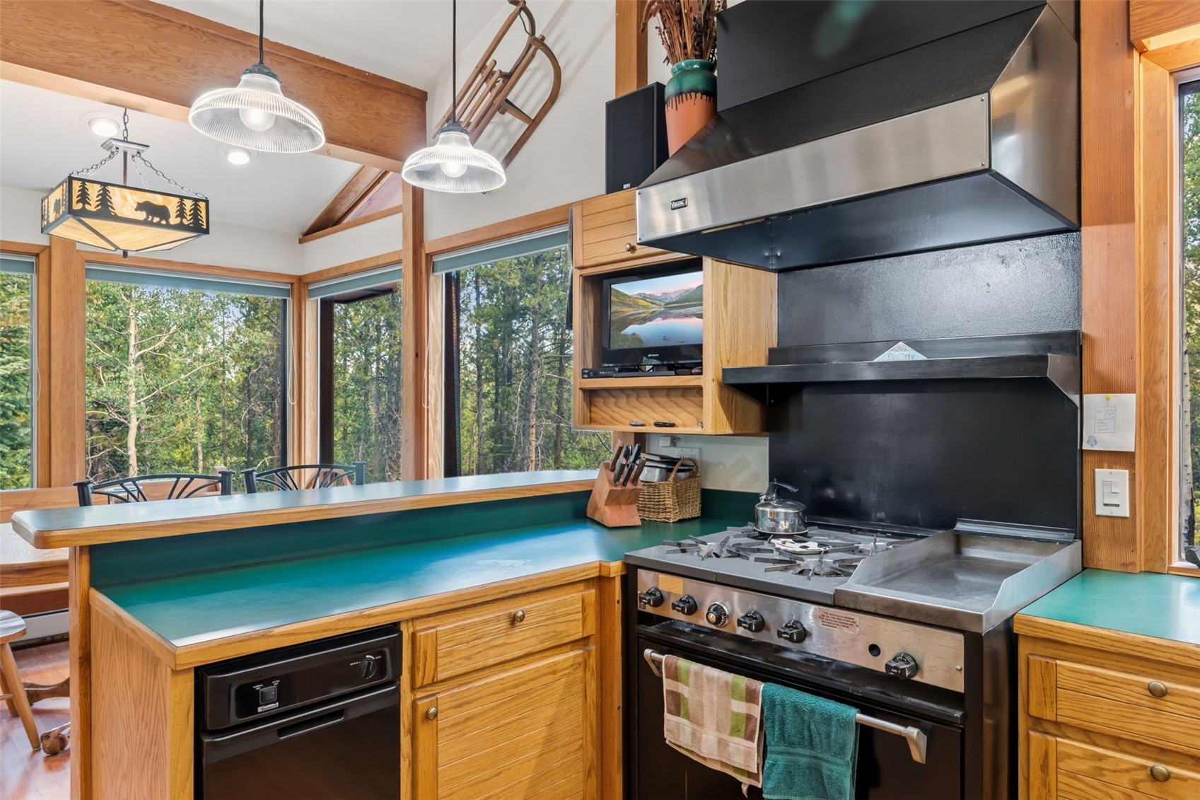 54 Ski Trail Circle Breckenridge CO 80424