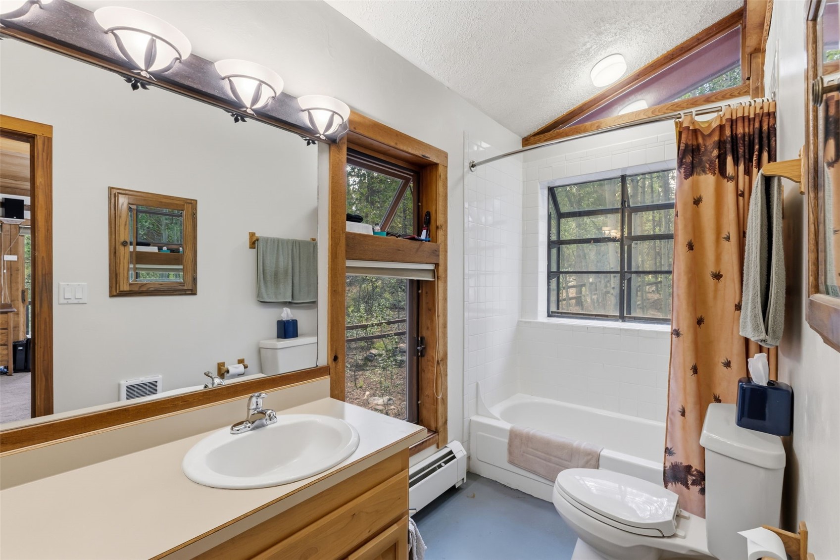 54 Ski Trail Circle Breckenridge CO 80424