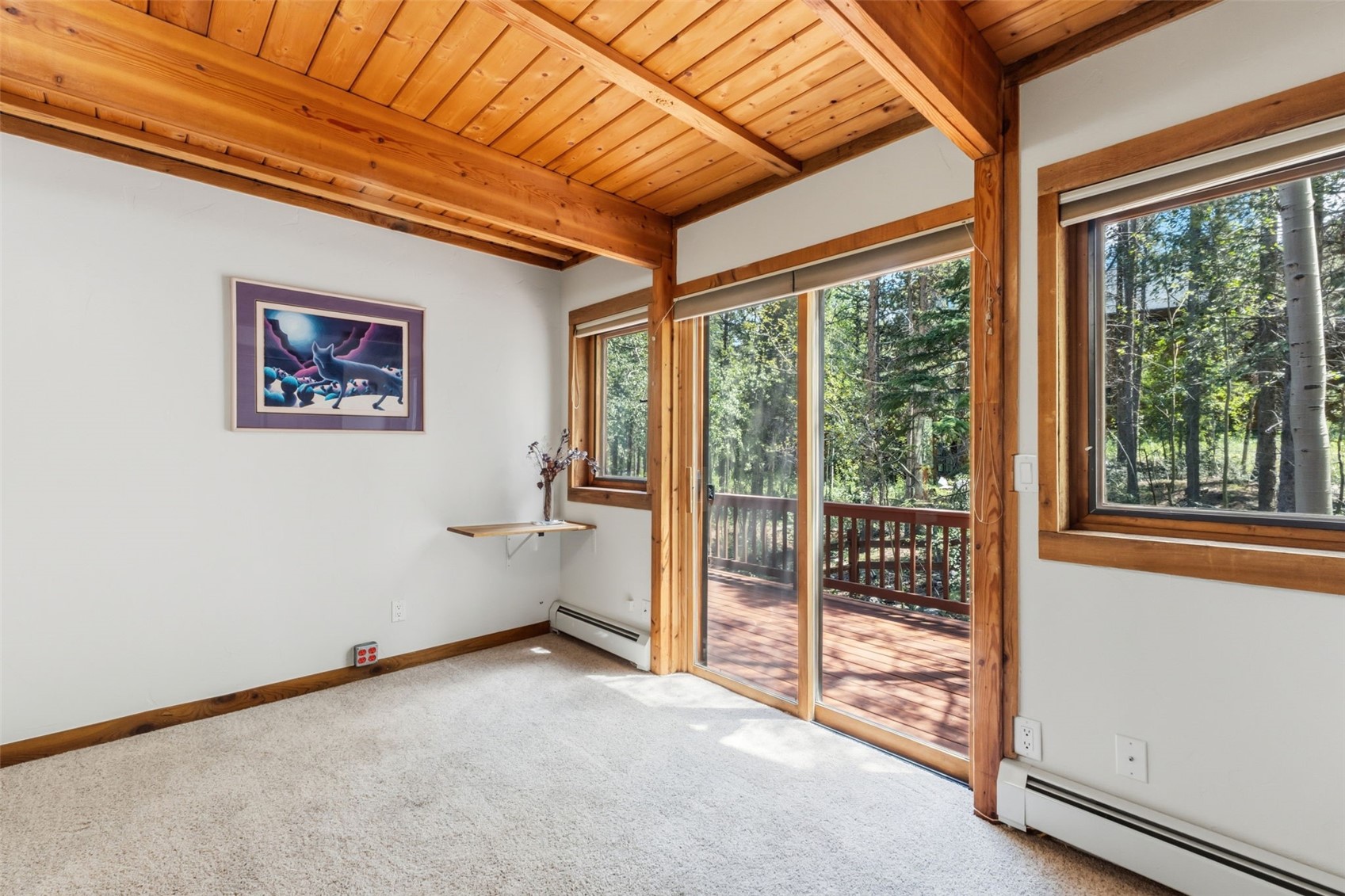 54 Ski Trail Circle Breckenridge CO 80424