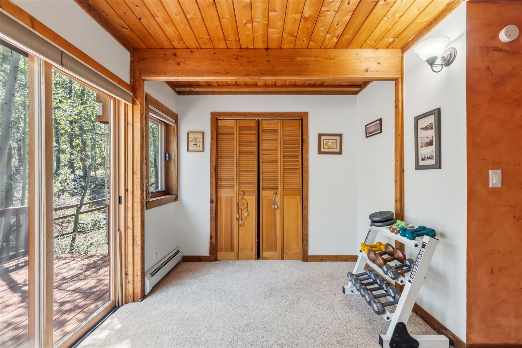 54 Ski Trail Circle Breckenridge CO 80424