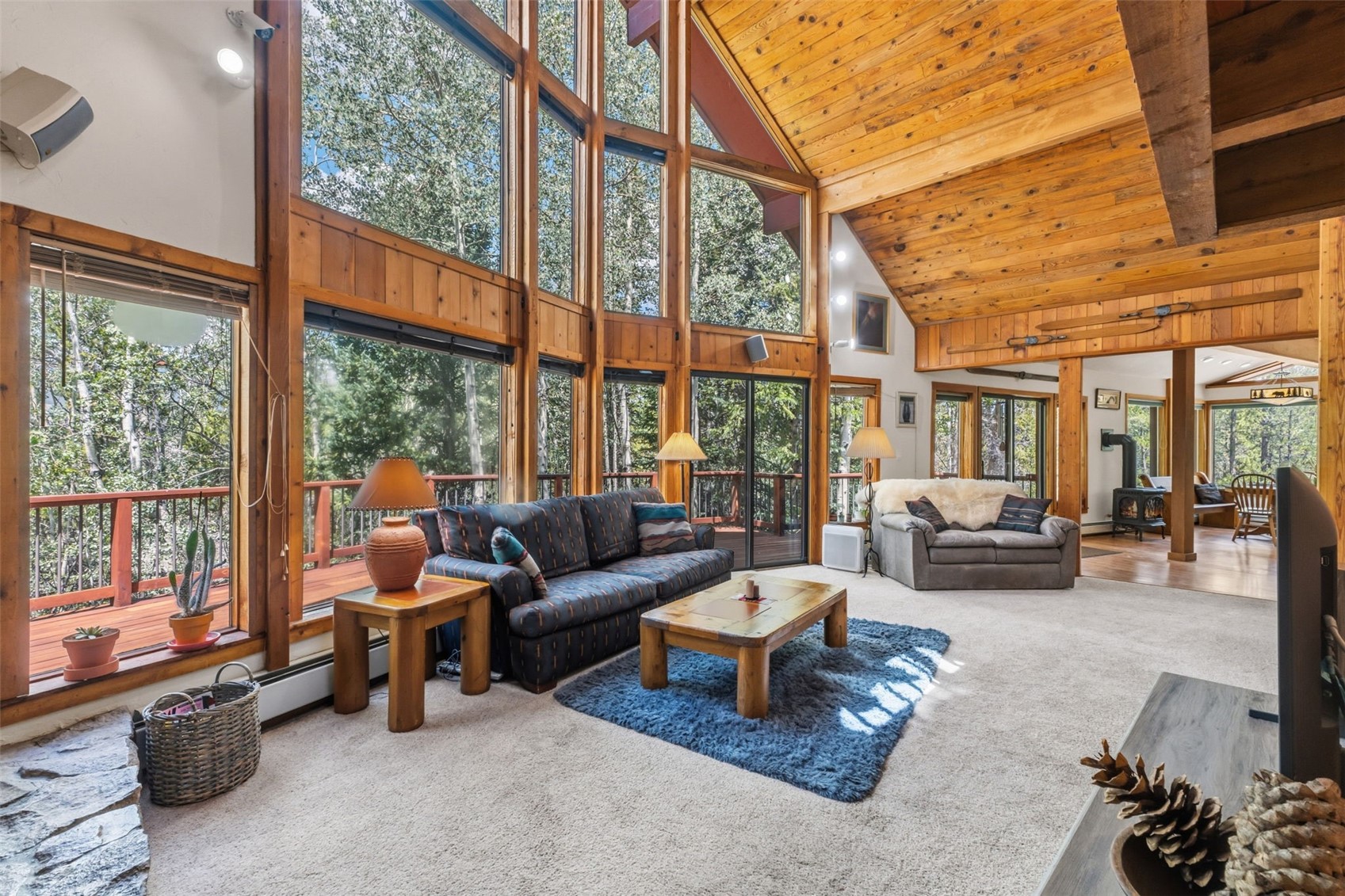 54 Ski Trail Circle Breckenridge CO 80424