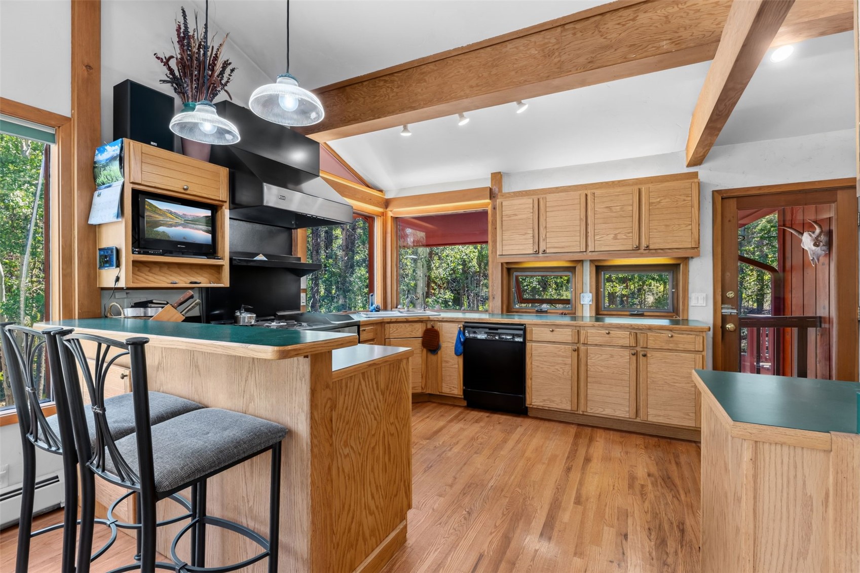 54 Ski Trail Circle Breckenridge CO 80424