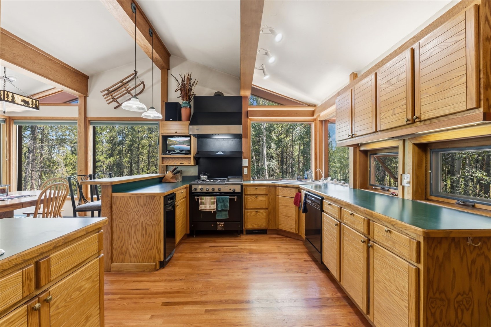 54 Ski Trail Circle Breckenridge CO 80424