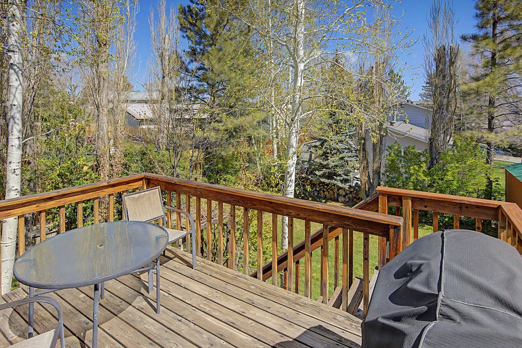 431 Clover Circle Hayden CO 81639