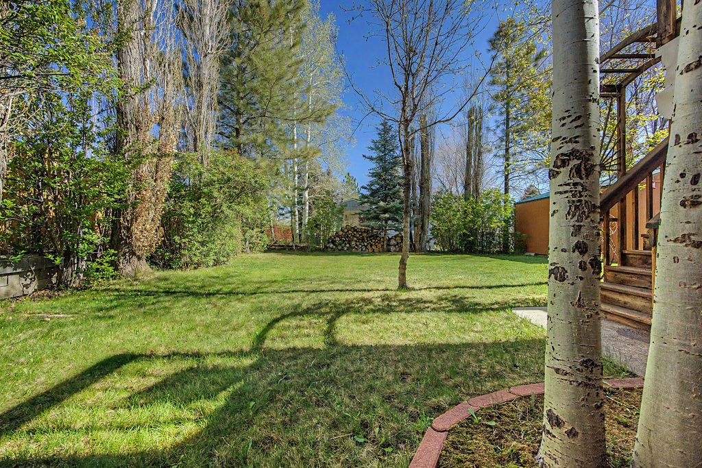 431 Clover Circle Hayden CO 81639