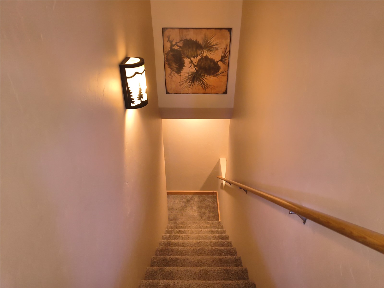 226 Pine Cone Way Fairplay CO 80440