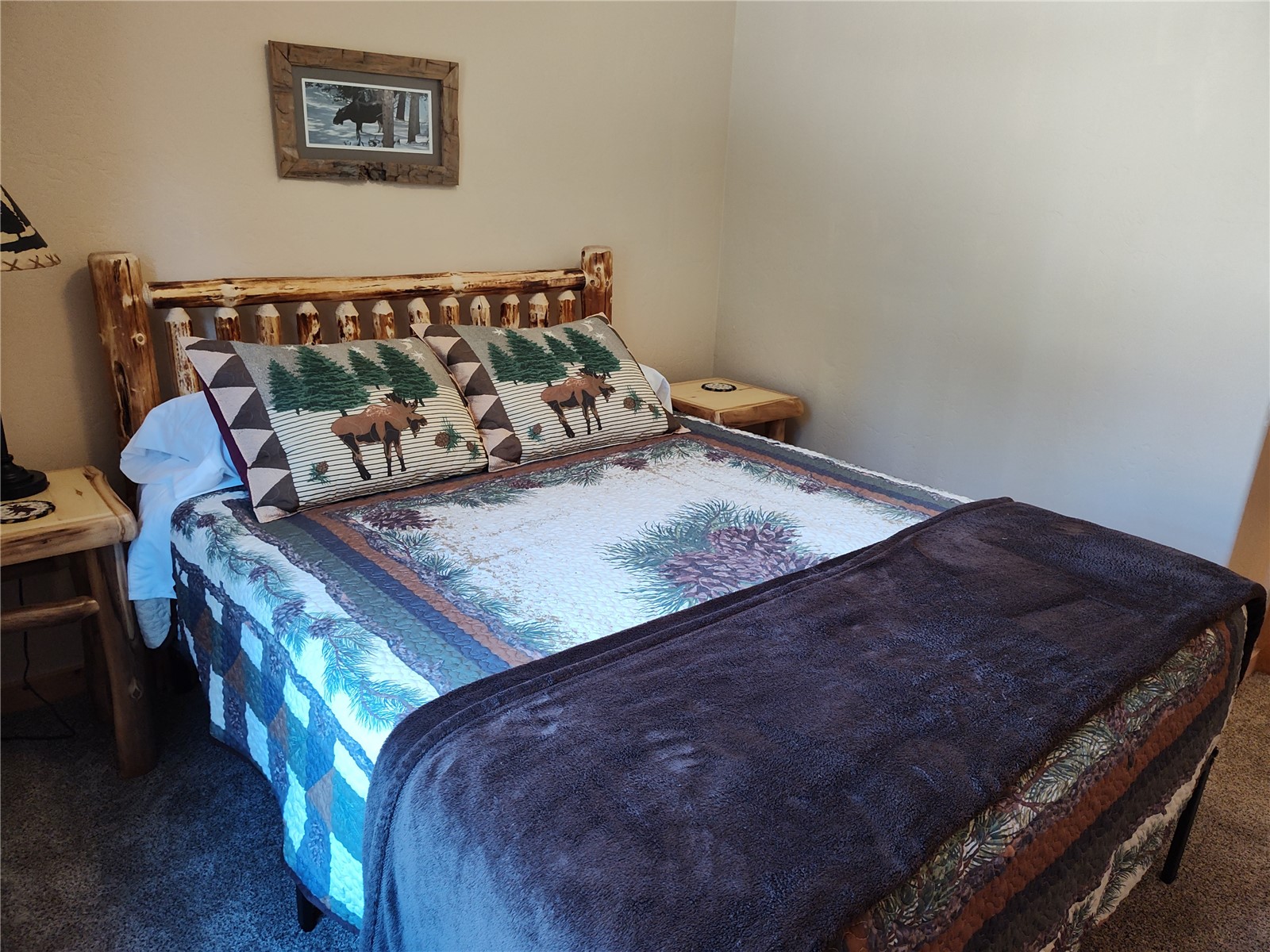 226 Pine Cone Way Fairplay CO 80440