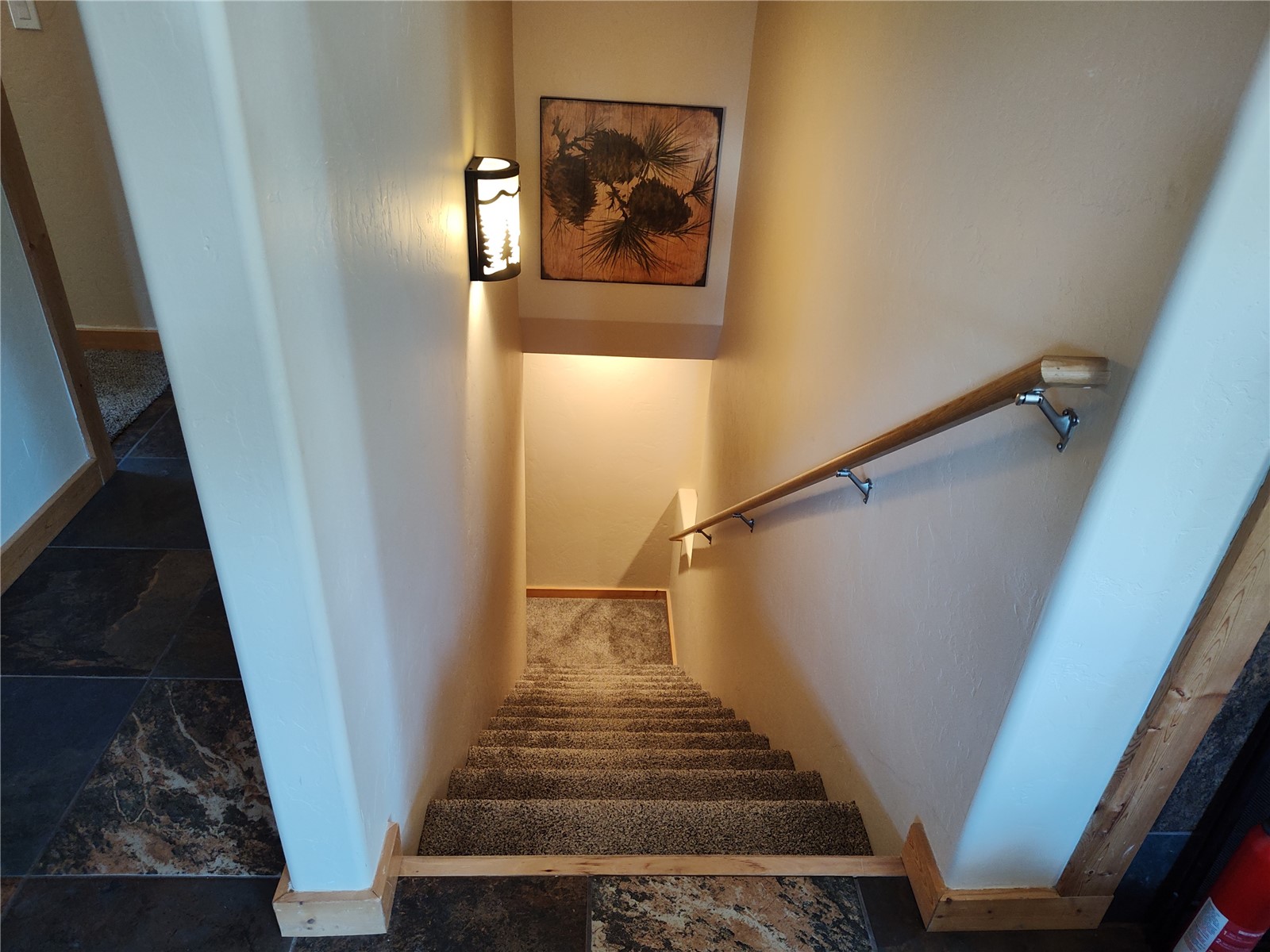 226 Pine Cone Way Fairplay CO 80440