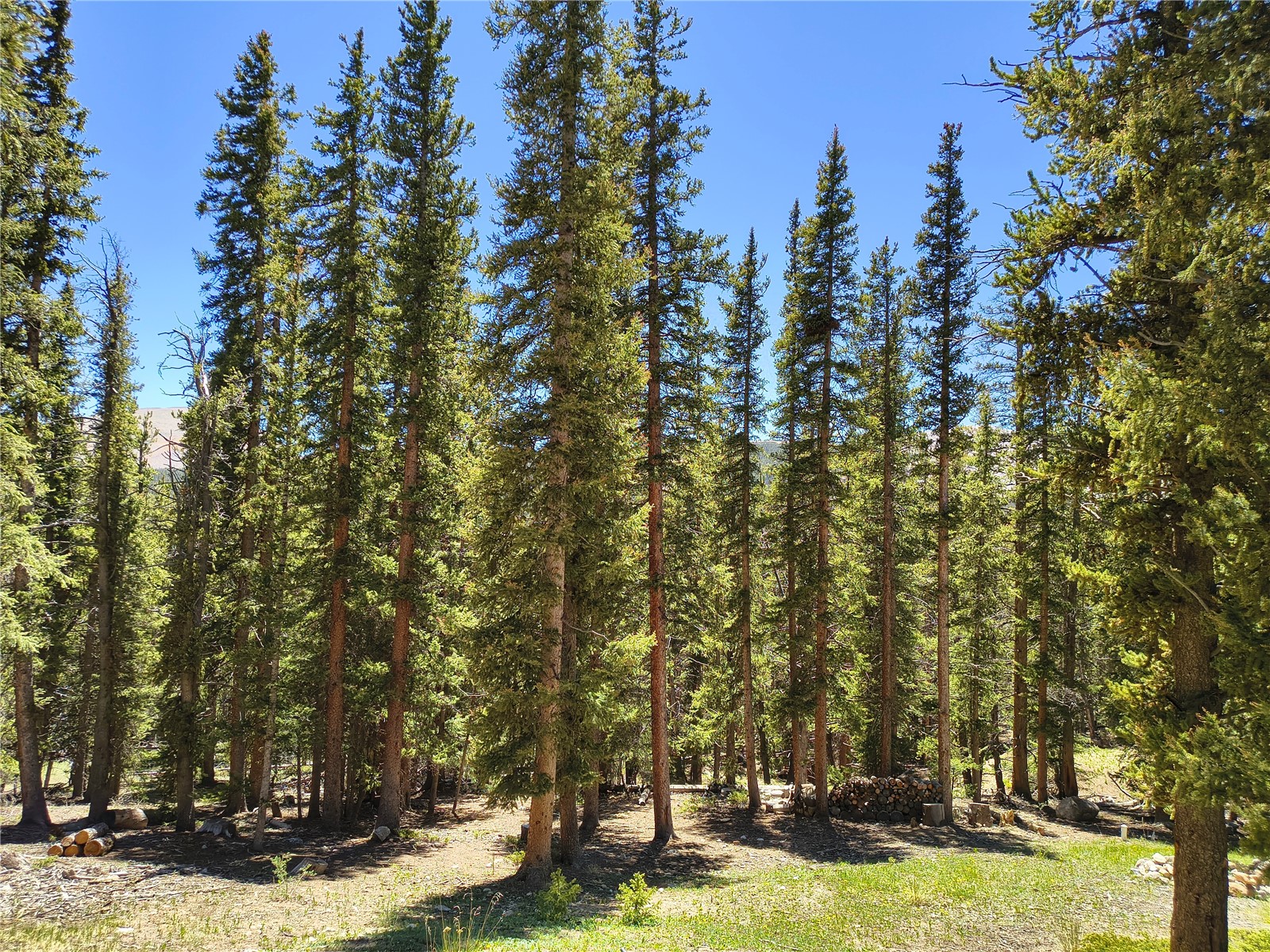 226 Pine Cone Way Fairplay CO 80440