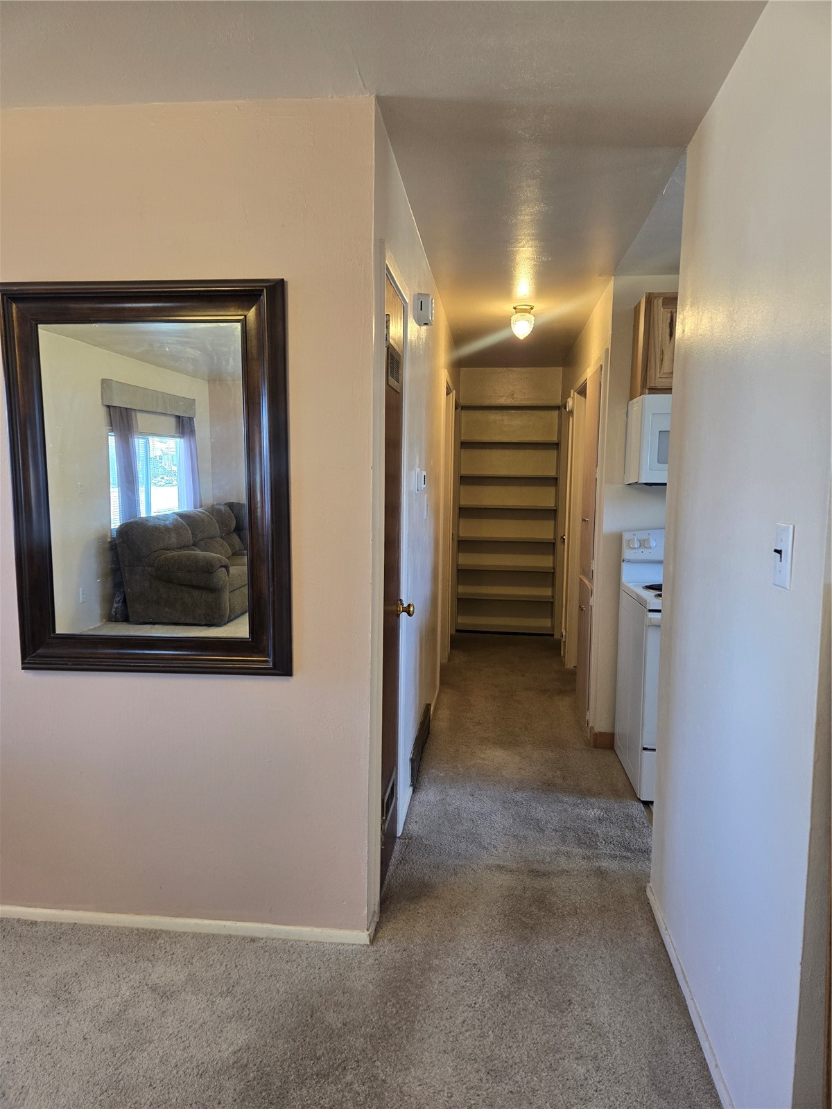 1309 Mount Elbert Drive Leadville CO 80461