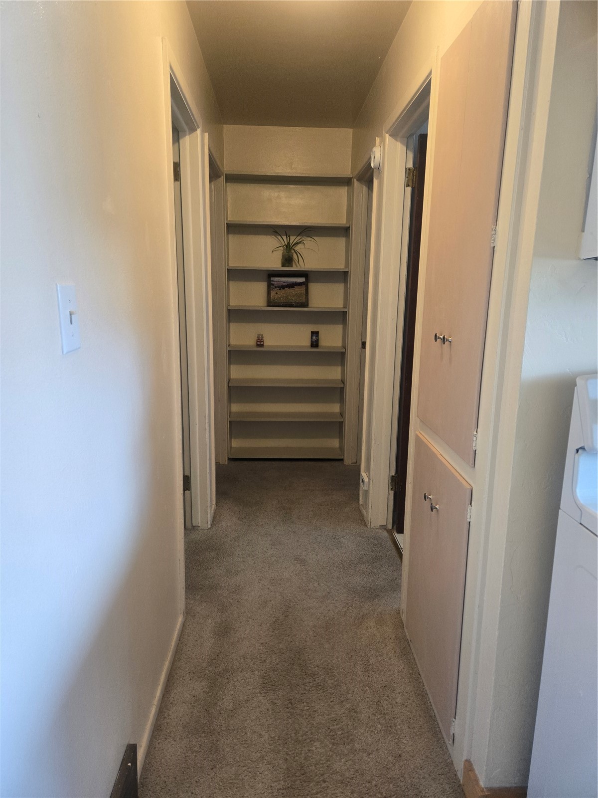 1309 Mount Elbert Drive Leadville CO 80461