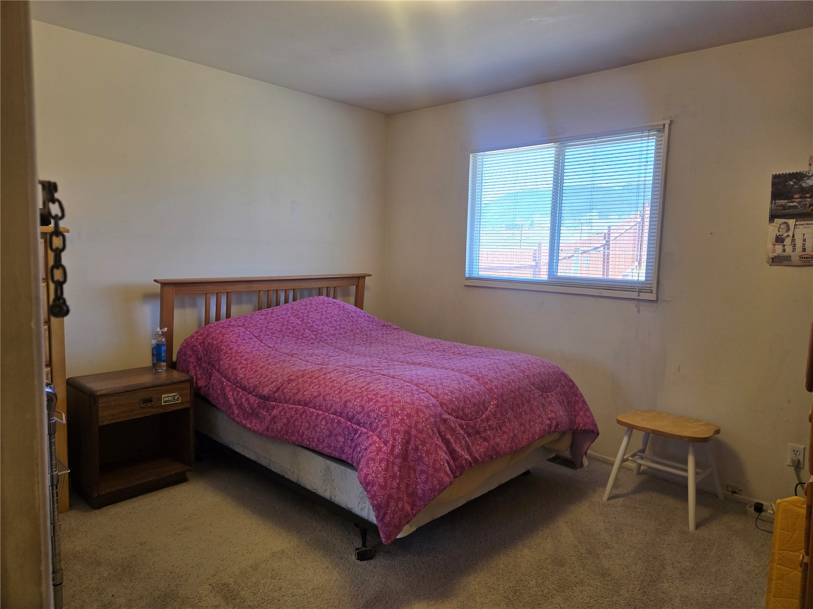 1309 Mount Elbert Drive Leadville CO 80461