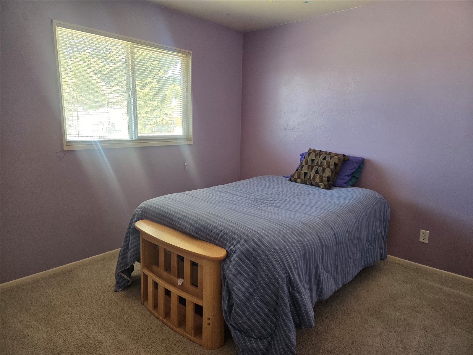 1309 Mount Elbert Drive Leadville CO 80461