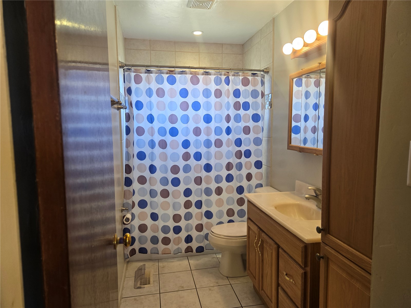 1309 Mount Elbert Drive Leadville CO 80461
