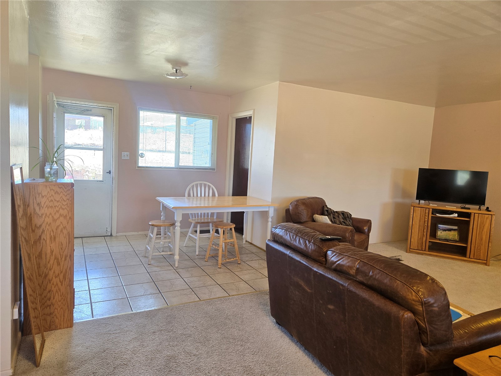1309 Mount Elbert Drive Leadville CO 80461