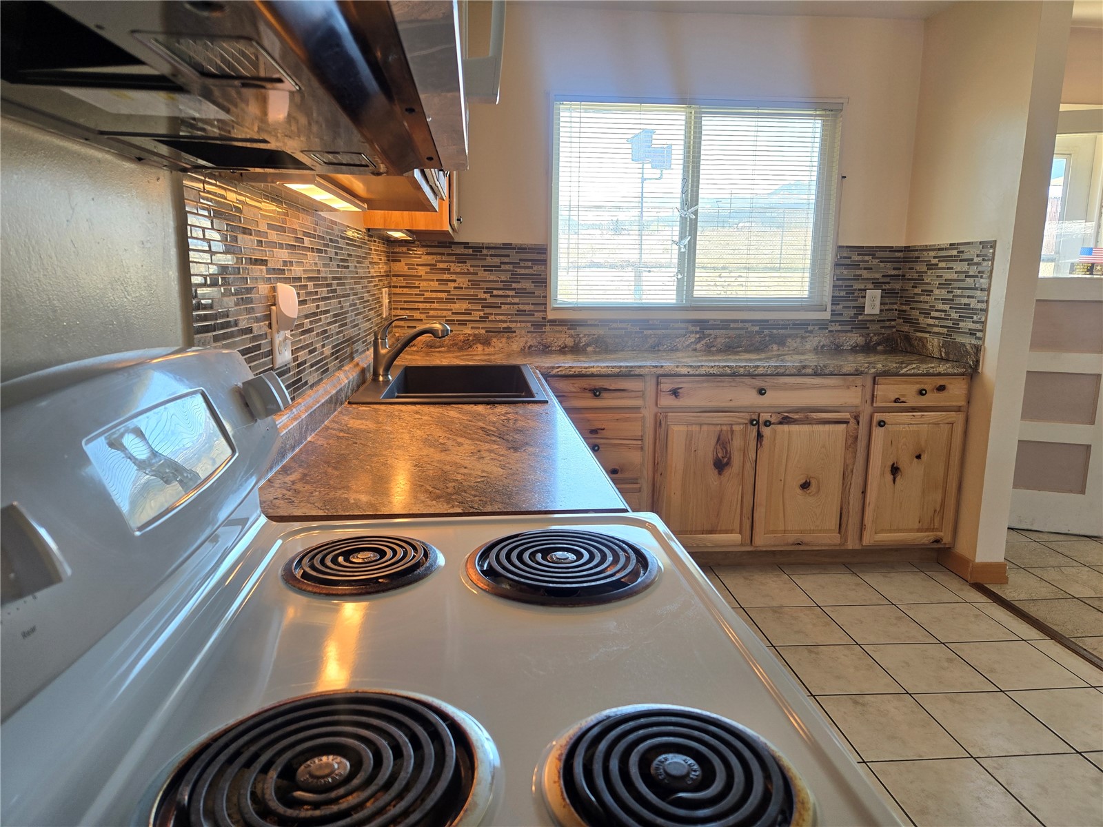 1309 Mount Elbert Drive Leadville CO 80461