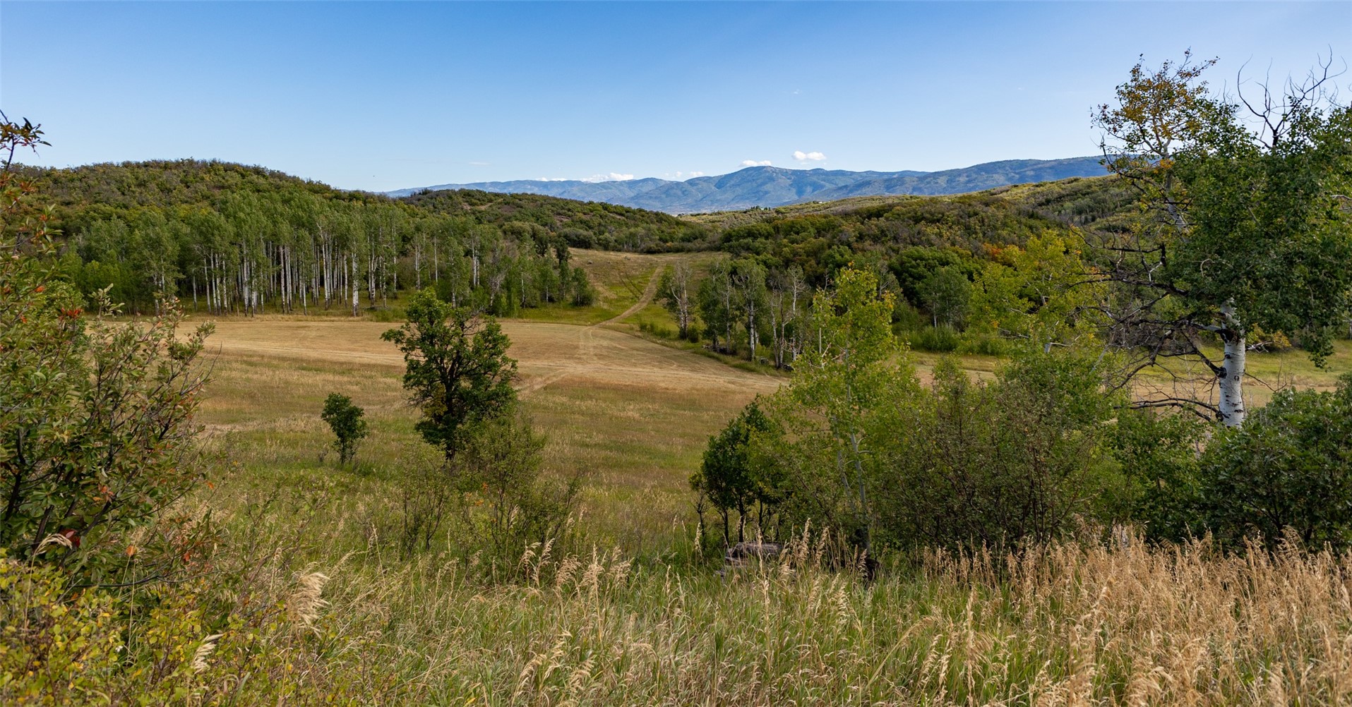 27795 County Road 14 Steamboat Springs CO 80487