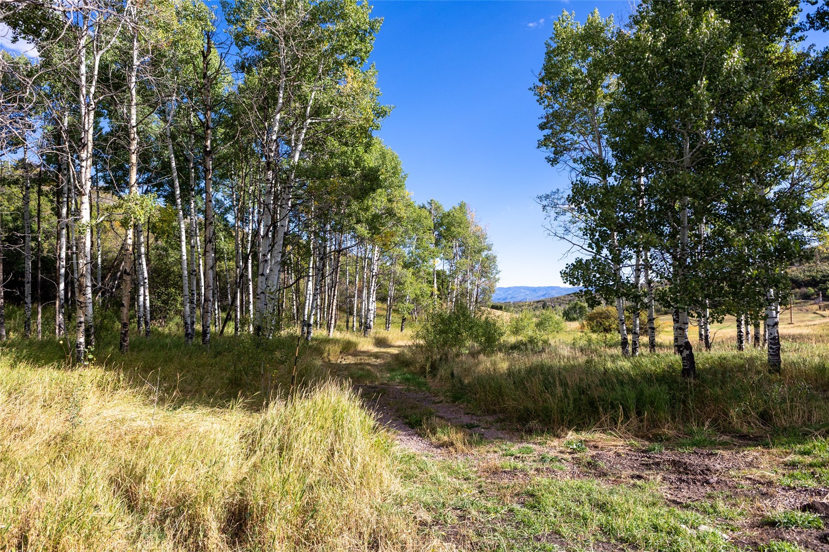 27795 County Road 14 Steamboat Springs CO 80487