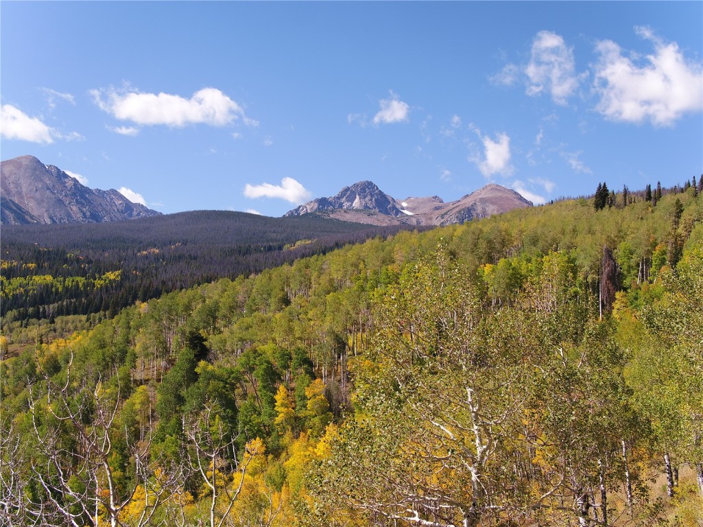 Tbd Whetstone Drive Silverthorne CO 80498