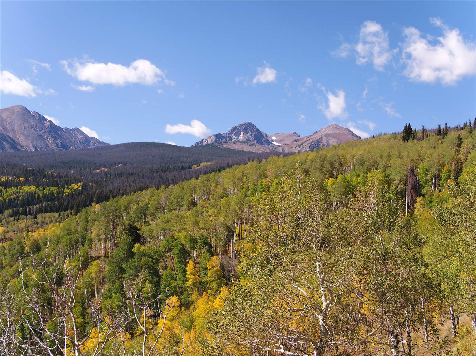 Tbd Whetstone Drive Silverthorne CO 80498