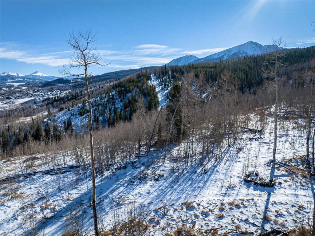 Tbd Whetstone Drive Silverthorne CO 80498