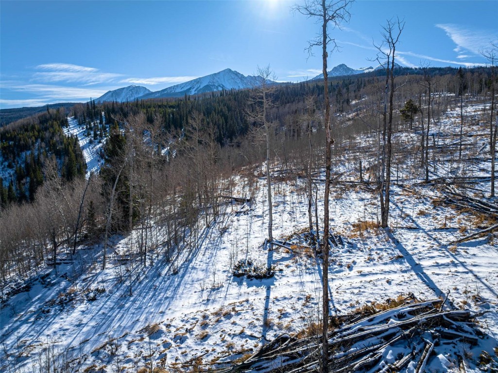 Tbd Whetstone Drive Silverthorne CO 80498