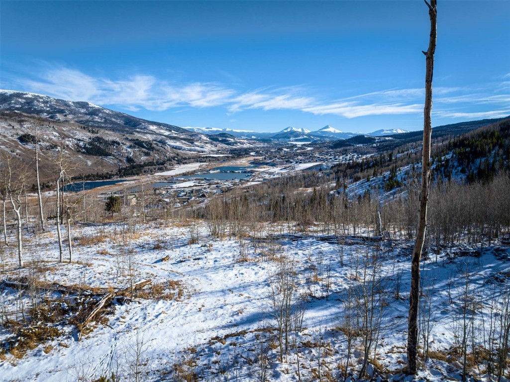 Tbd Whetstone Drive Silverthorne CO 80498