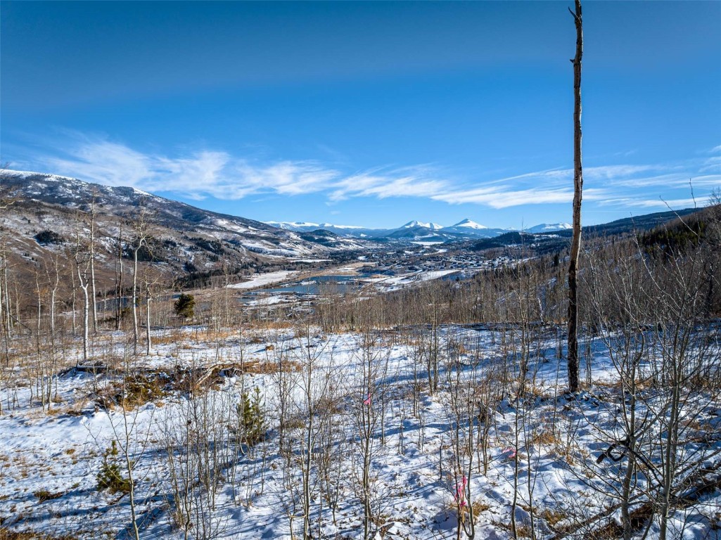 Tbd Whetstone Drive Silverthorne CO 80498