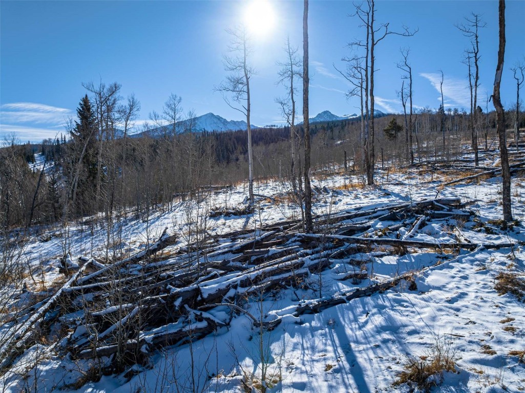 Tbd Whetstone Drive Silverthorne CO 80498