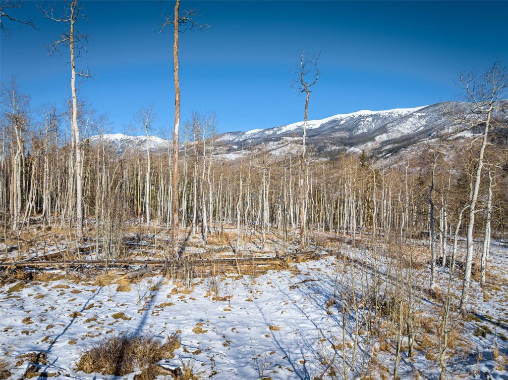 Tbd Whetstone Drive Silverthorne CO 80498