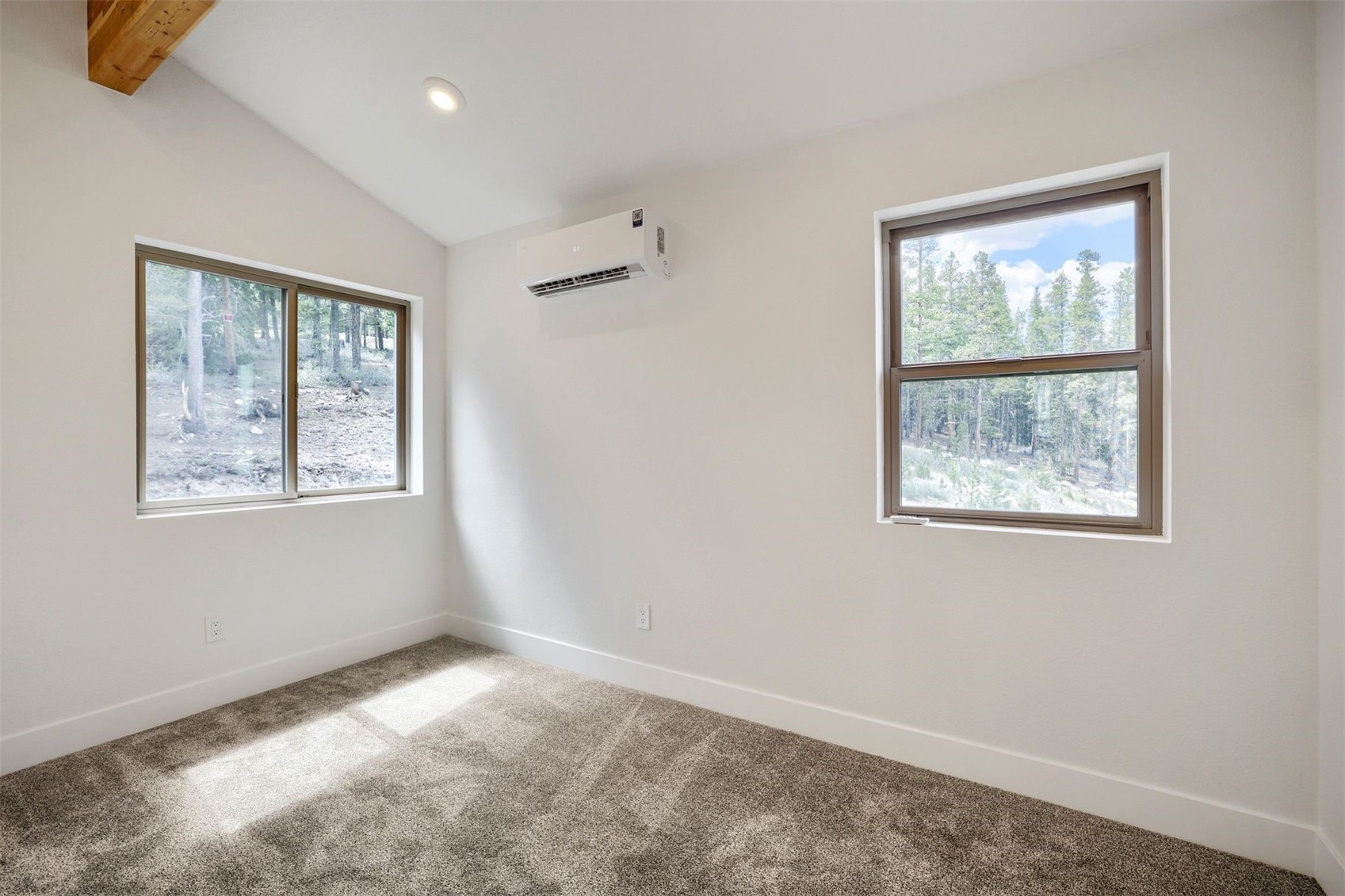 145 Spruce Street Alma CO 80420