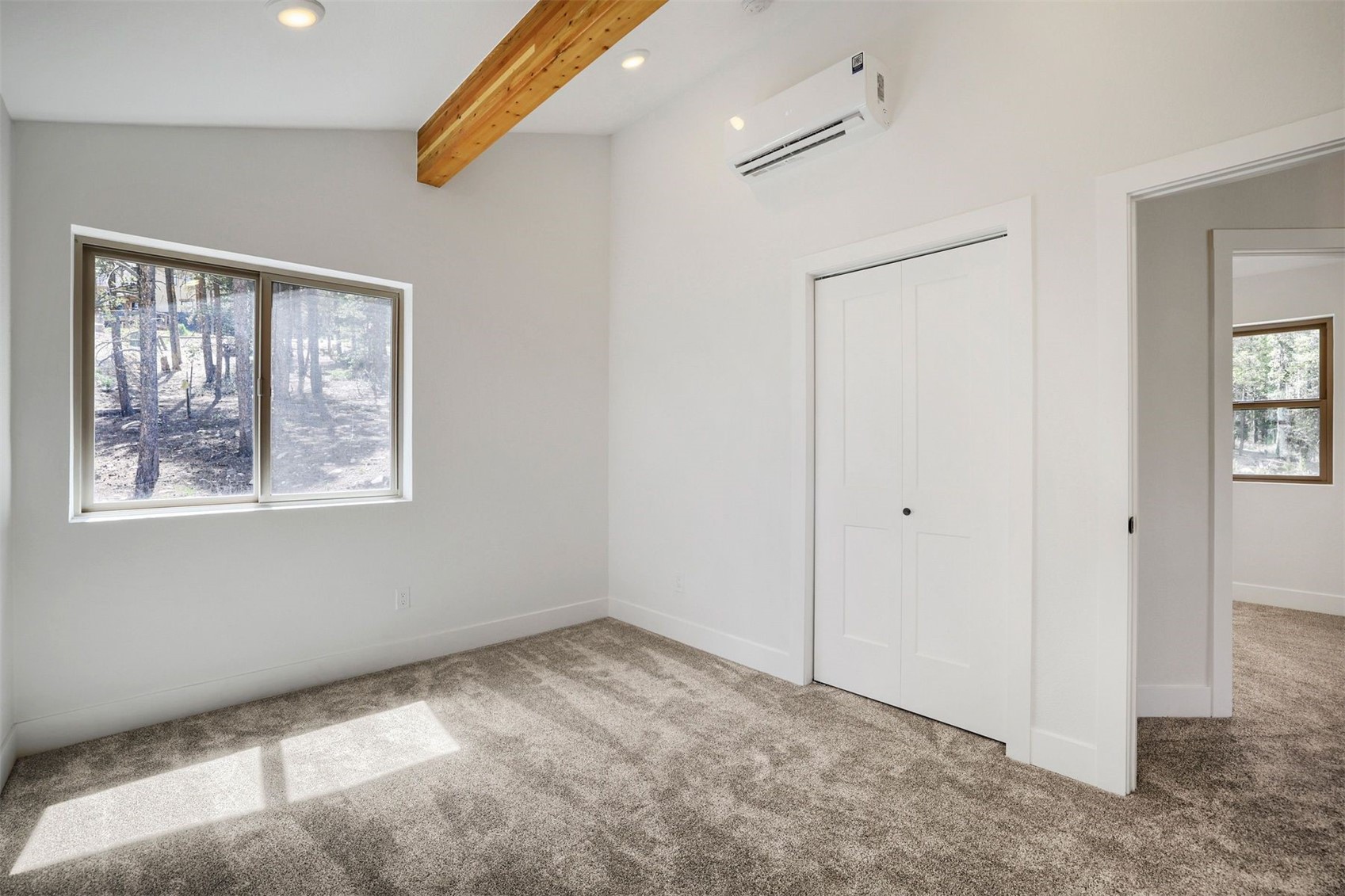 145 Spruce Street Alma CO 80420