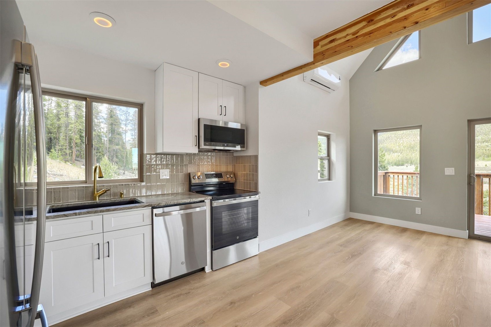 145 Spruce Street Alma CO 80420