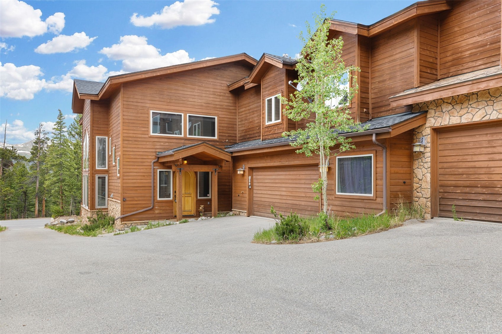 180 Emmett Lode Road Breckenridge CO 80424
