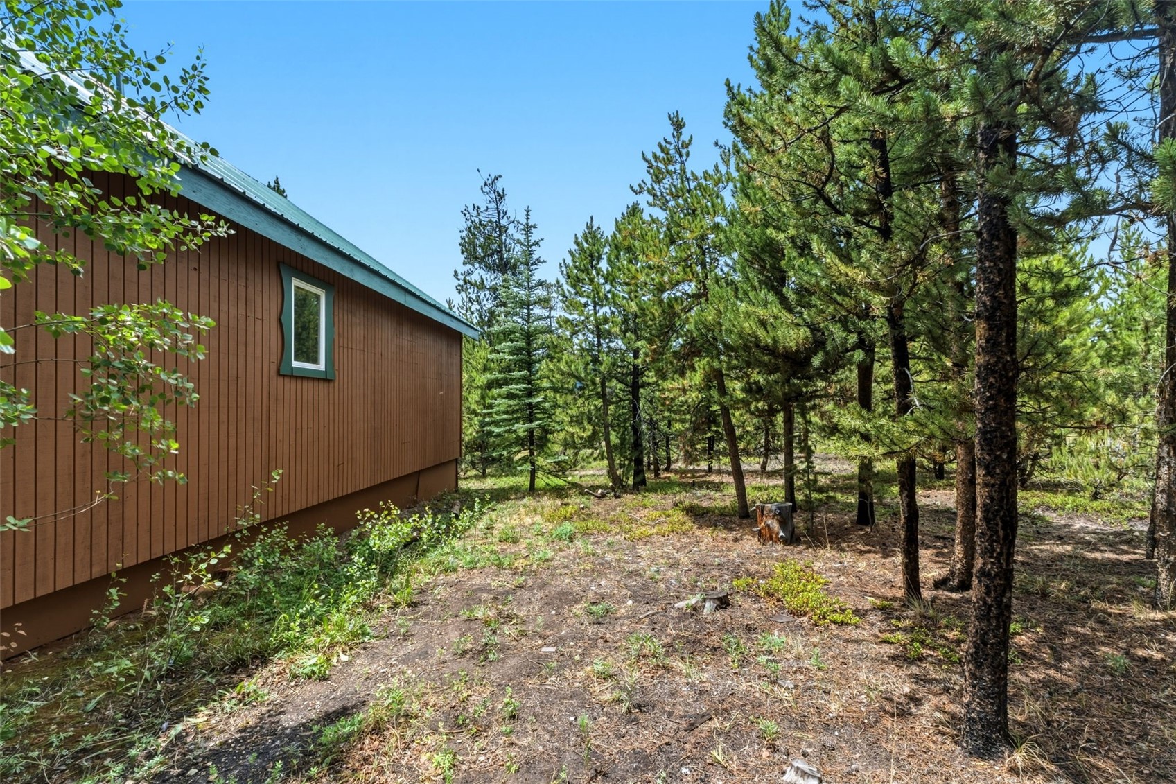 137 B Road Silverthorne CO 80498