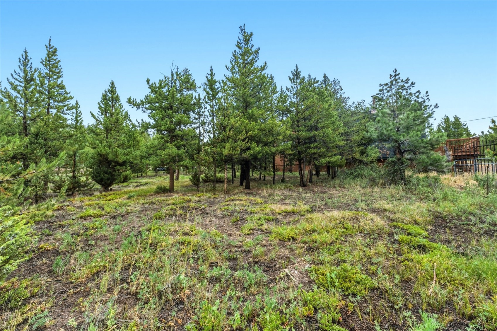 137 B Road Silverthorne CO 80498