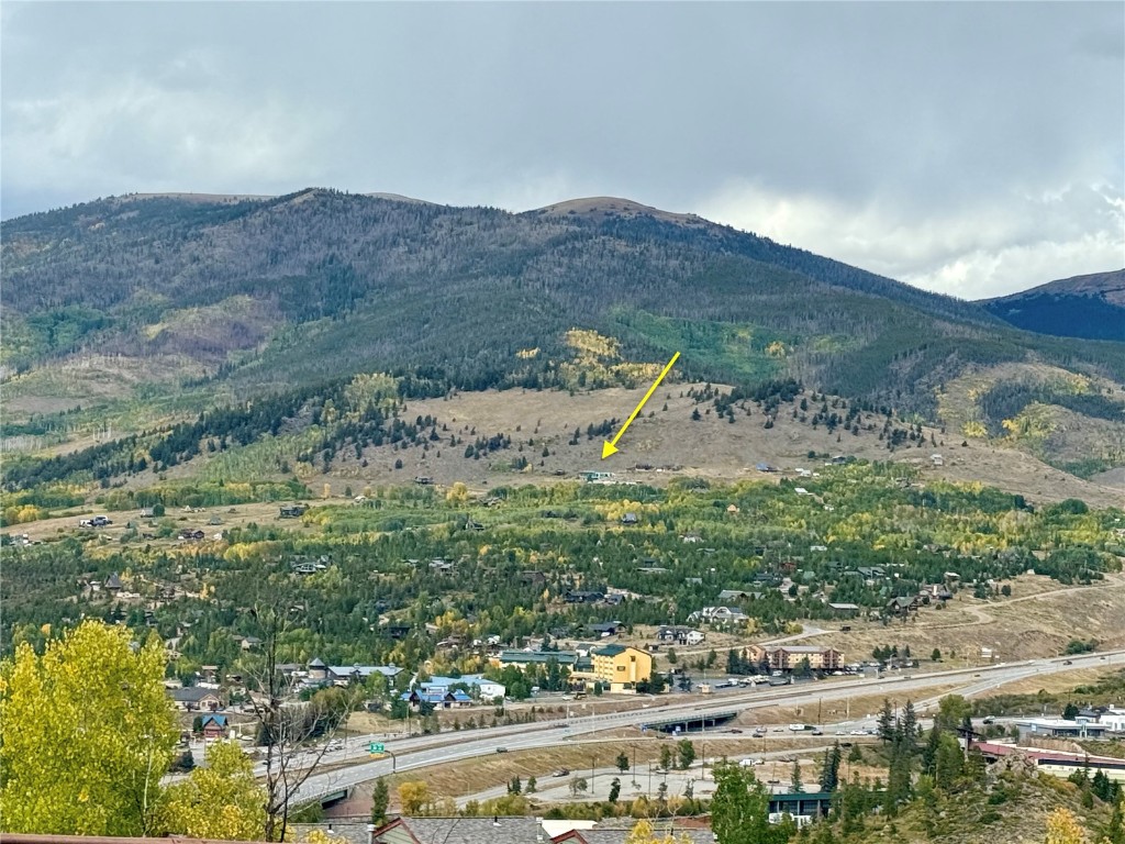 421 Z Road Silverthorne CO 80498