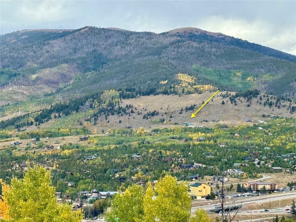 421 Z Road Silverthorne CO 80498