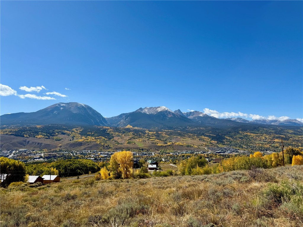 421 Z Road Silverthorne CO 80498