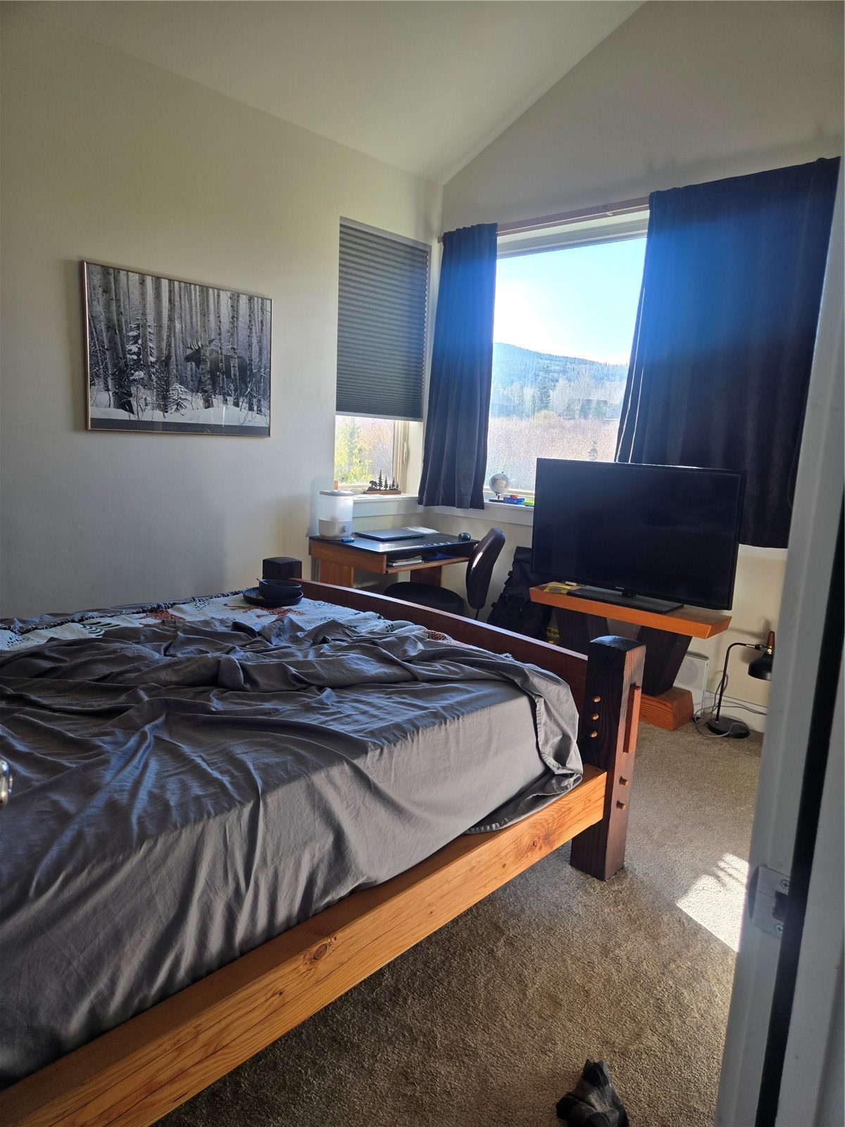 331 Haymaker Street Silverthorne CO 80498