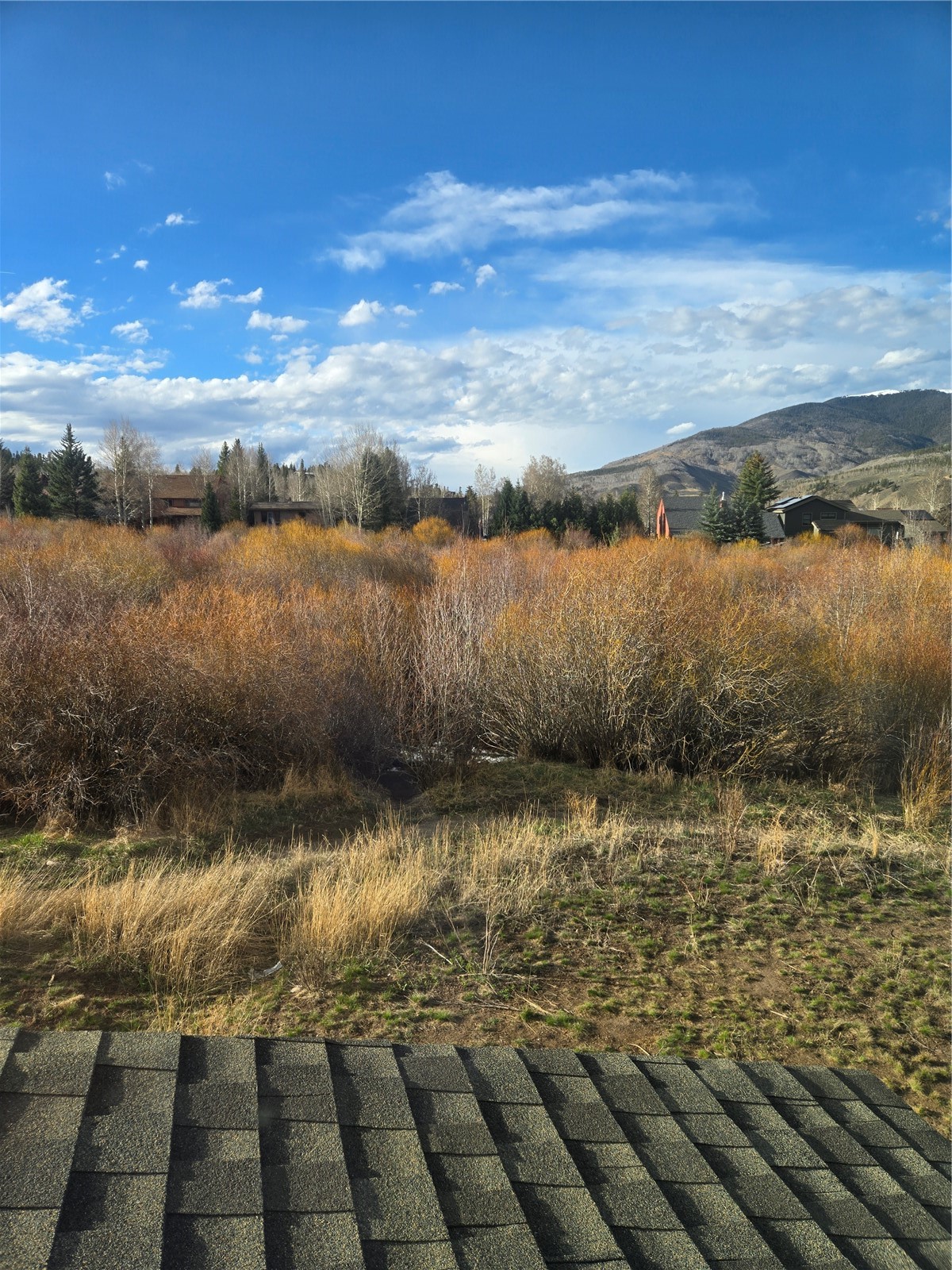 331 Haymaker Street Silverthorne CO 80498