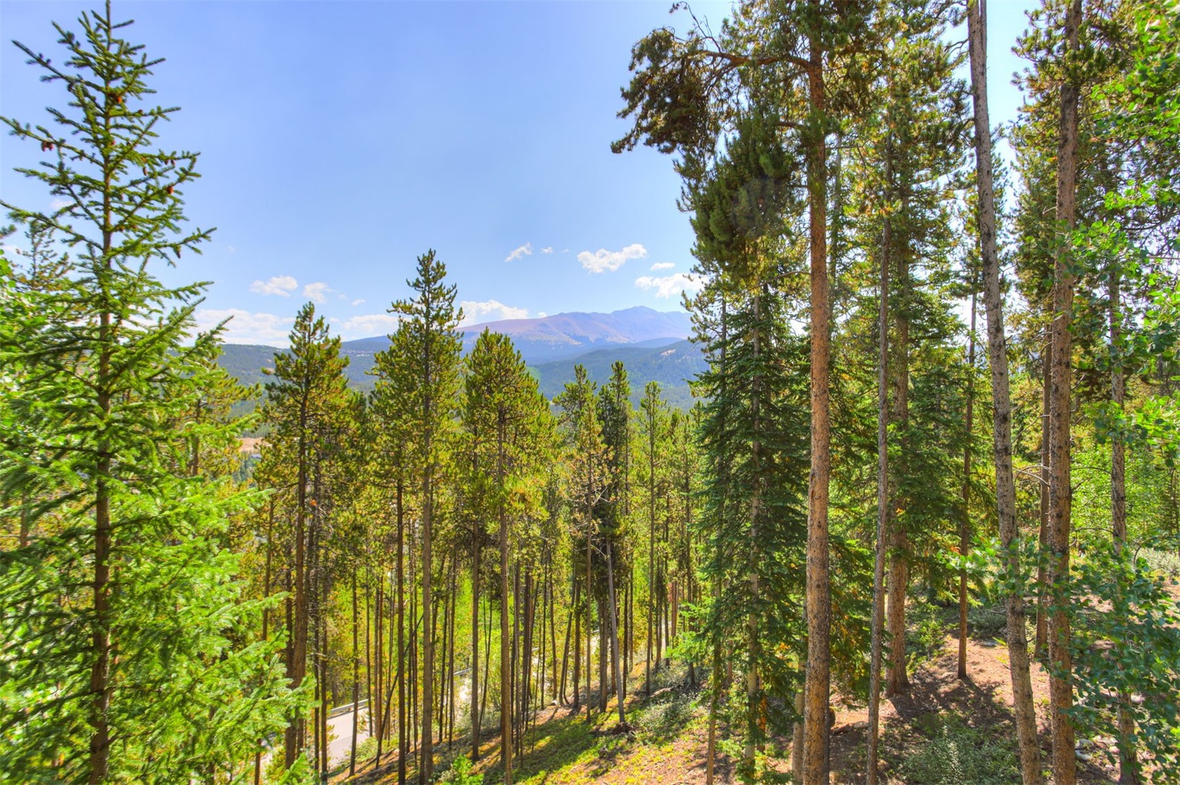 50 Amber Court Breckenridge CO 80424
