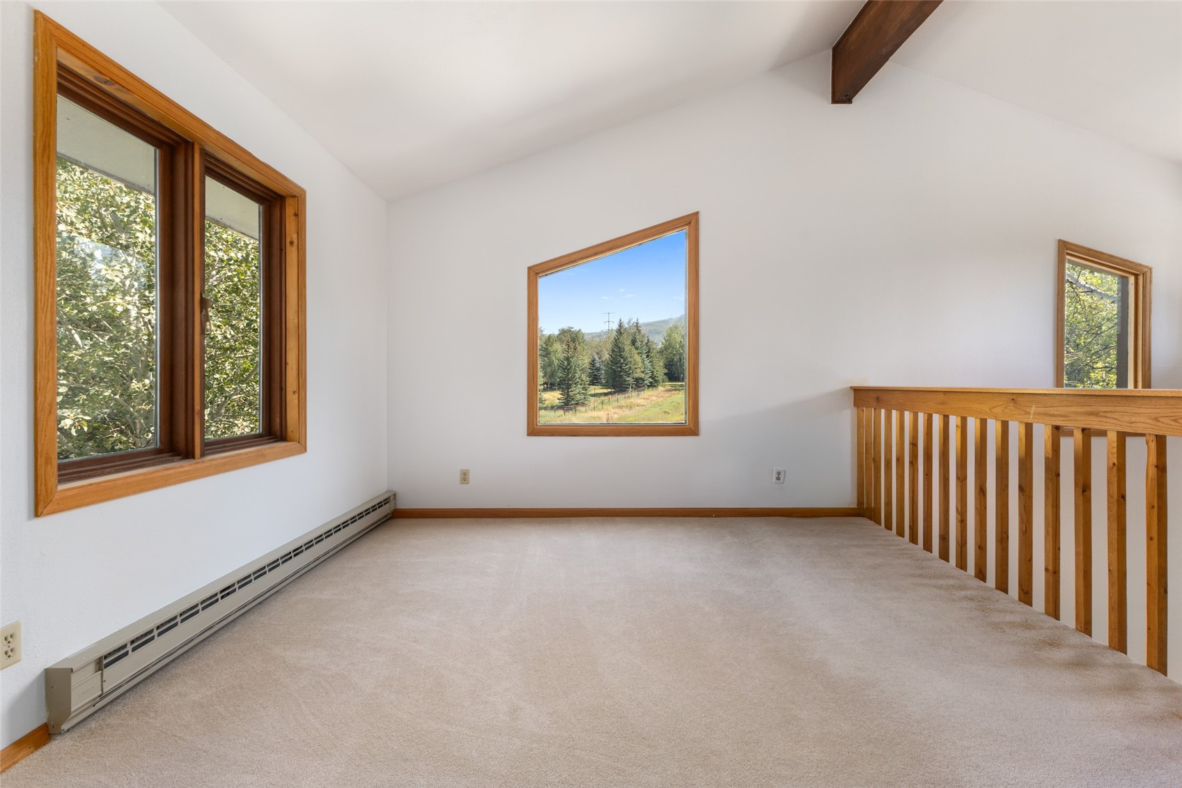 15 Valverdant Circle Steamboat Springs CO 80487