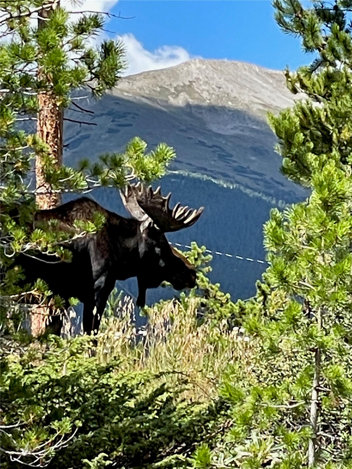 66 Sitzmark Circle Breckenridge CO 80424